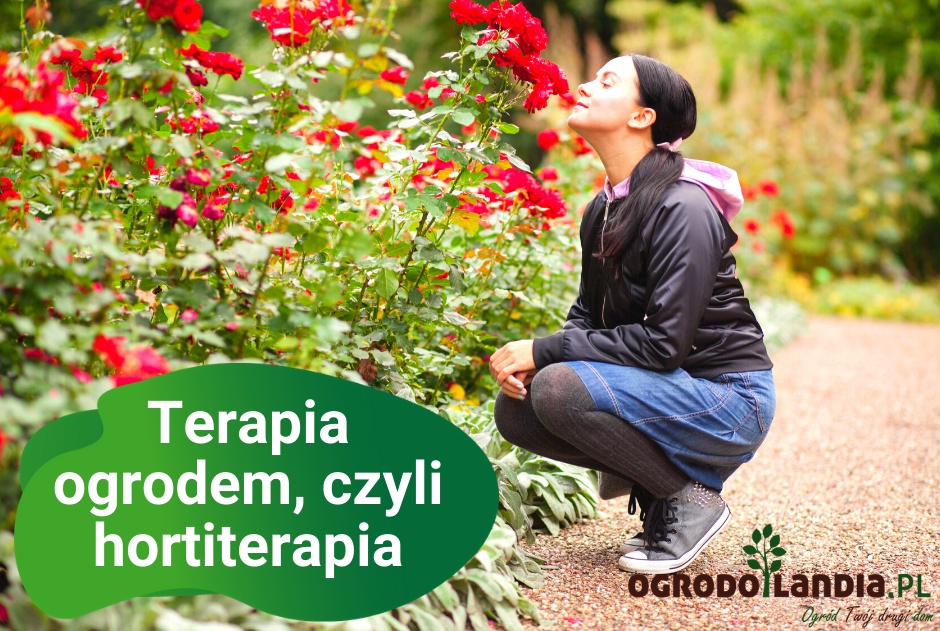 12.01.2022 Zajęcia z hortiterapii