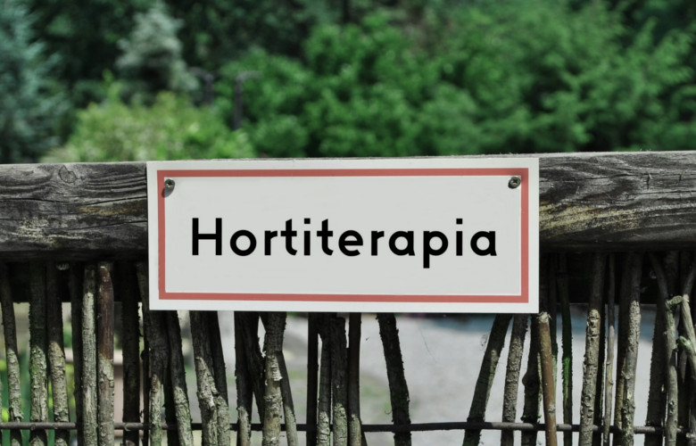 zajęcia z hortiterapii