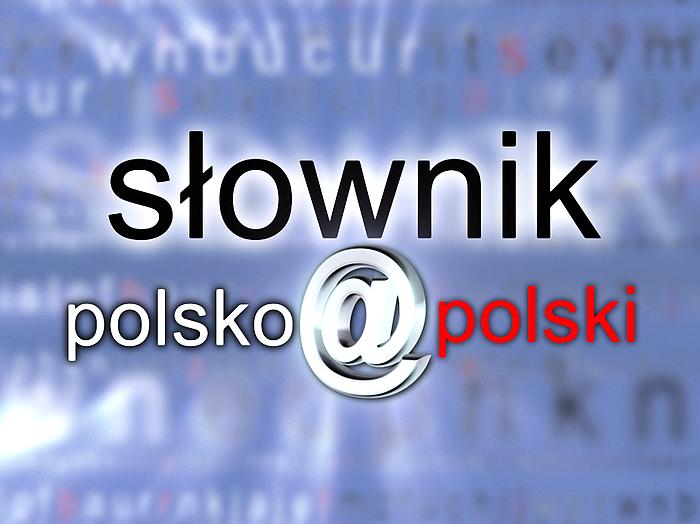 Nagranie do programu słownik polsko- polski z prof. j. Miodkiem