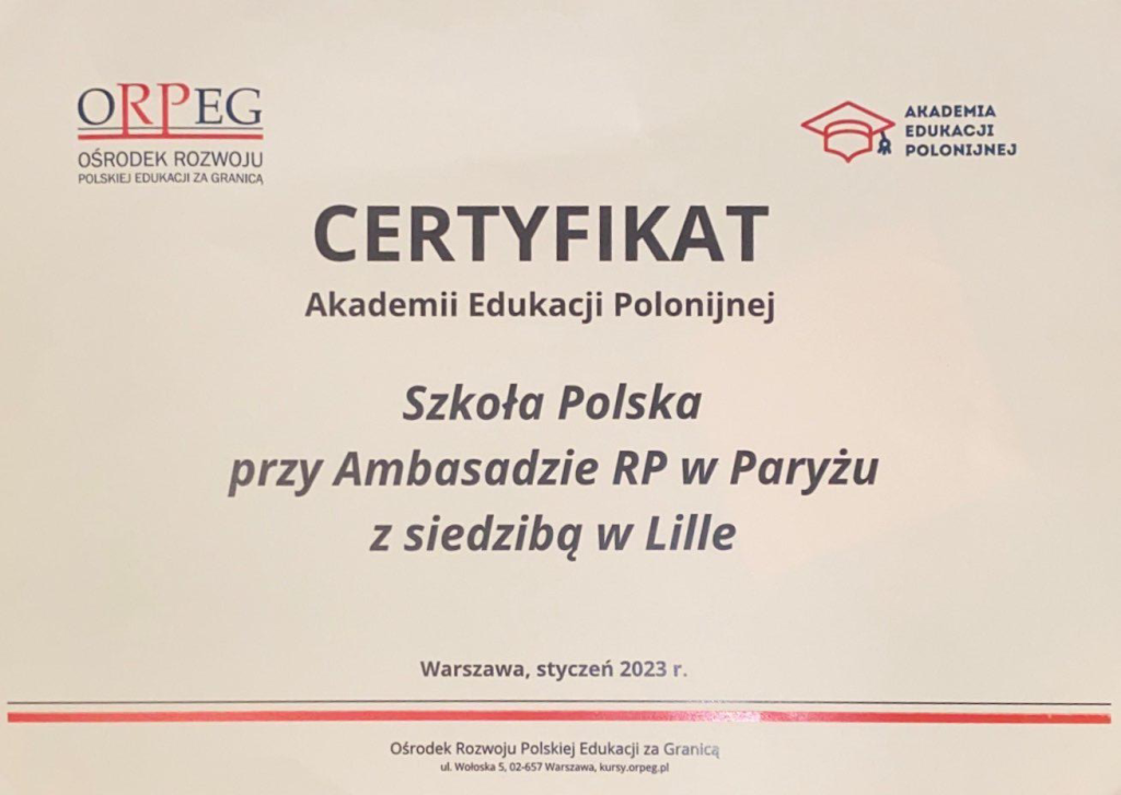 Nasza Szkoła liderem Akademii Edukacji Polonijnej