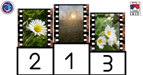 Konkurs fotograficzny – Dzień Dobry Lille