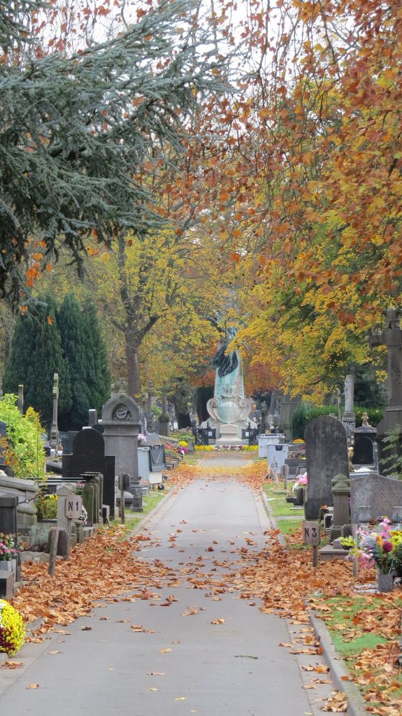 Wyjście na cmentarz Lille Sud